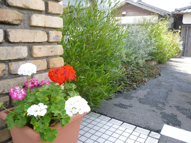 カフェ ポラリス 京口 カフェ 食べログ