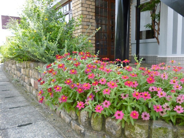 カフェ ポラリス 京口 カフェ 食べログ