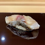 308680055 - 秋田のサゴシ