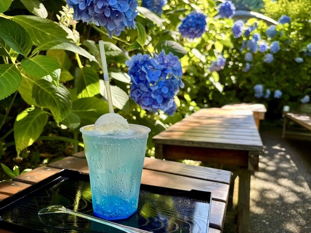 あじさいカフェ - 男鹿市その他（カフェ）の写真