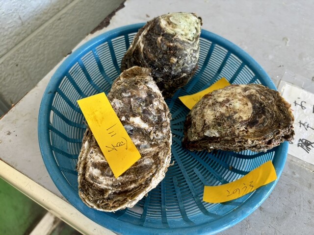 はまなす物産センター（【旧店名】金浦物産センター） - 金浦（その他）の写真