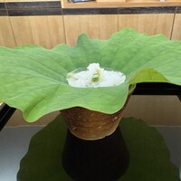 澤田 - 水飯（品種名：キヌヒカリ）、青梅載せ、蓮の葉敷き、（能勢の湧水)