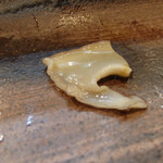 寿司栄 - アワビの肝を包んでいる部位