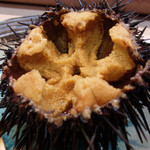 寿司栄 - ムラサキウニ