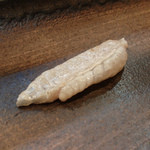 寿司栄 - 炙ったエンガワ