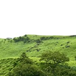 CAFE LA RUCHE - やまなみハイウェイから見た由布岳　自動調整のみ