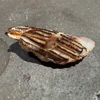鮨 そら - 