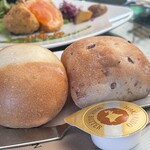 カフェ＆ガーデン しらさぎ邸 - 