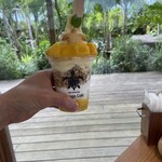 Blue Turtle Farm Mango Cafe - 
