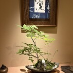 日本料理 かしづき - 