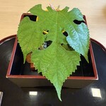 山玄茶 - 山玄茶さんの名物でもある八寸はいつも季節の植物が添えられて。夏はお面みたいに大きな梶の葉ꕤ*.ﾟ