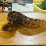 井筒 - ぎんぽう