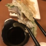 石臼挽きうどん しゅはり - 