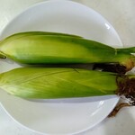 ブルーベリー農園 うざわ - そのままレンチン5分