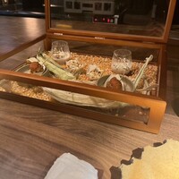yokoyama - 