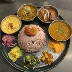 Curry Spice Gelateria KALPASI - 