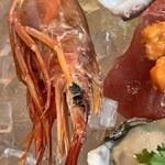 Tsubamesanjo Bit 新潟店 - 