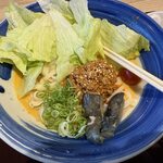 Binmugi Karuizawa Ten - 冷し坦々うどん