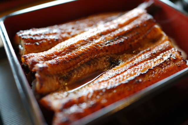 鰻の成瀬 福島桑折店 &ndash; 本格うなぎと季節料理の魅力