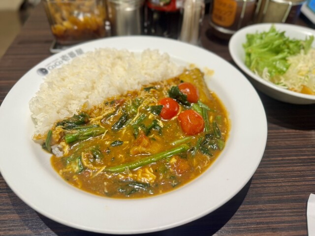 Curry House CoCo Ichibanya Koto Ku Toyocho Eki Nishiguchi Ten