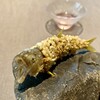茶禅華 - 五粮香魚： 鮎の香煎揚げ