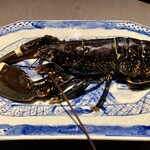 308782899 - オマール海老