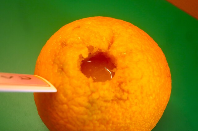 鎌倉生搾り果汁おれんじーる - 鎌倉/ジューススタンド | 食べログ