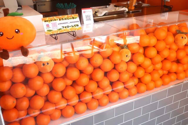 鎌倉生搾り果汁おれんじーる - 鎌倉/ジューススタンド | 食べログ