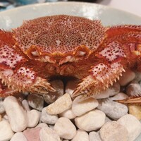 ル・ミュゼ・イデア - 