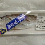 おどや - 料理写真:富津産石持ち