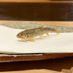 ぬま田 - 長野県天竜川の稚鮎