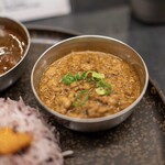 Curry Spice Gelateria KALPASI - 