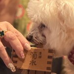 屋台だるま寿 - 