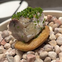 CIRPAS - 