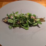 イタリア料理 スペランツァ