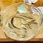 天ぷら もっこす - 長野の稚鮎