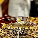 天ぷら もっこす - 稚鮎。尻尾から醤油塩で。甘味と苦味が味わえる食べ方で二度美味しい♡