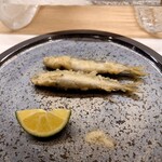 鮨処 暁 -akatsuki- - 