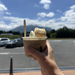 岩手山サービスエリア(上り線) スナックコーナー - 猫モナカソフト