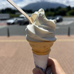 岩手山サービスエリア(上り線) スナックコーナー - ノーマルのたのはたソフトクリーム（食べかけです）