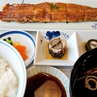 うなぎ処 山道 -  うなぎ処 山道 -