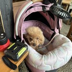 そば処 湧水 - そばを食べて満足ｗ