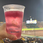 阪神甲子園球場 - 