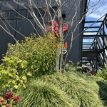 英国パビリオンレストラン - 