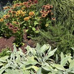 英国パビリオンレストラン - 