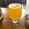 reverb - 9: Novel Craft Brewing / Tape Delay