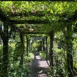 イレブンシス ティールームス - 