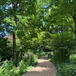 イレブンシス ティールームス - 