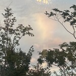 RESTAURANT Foody Foody - 