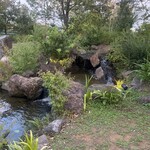 RESTAURANT Foody Foody - 